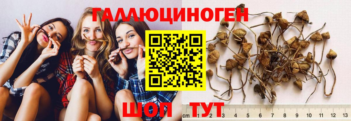 Псилоцибиновые грибы Magic Shrooms  Вход с VPN  Тамбов 