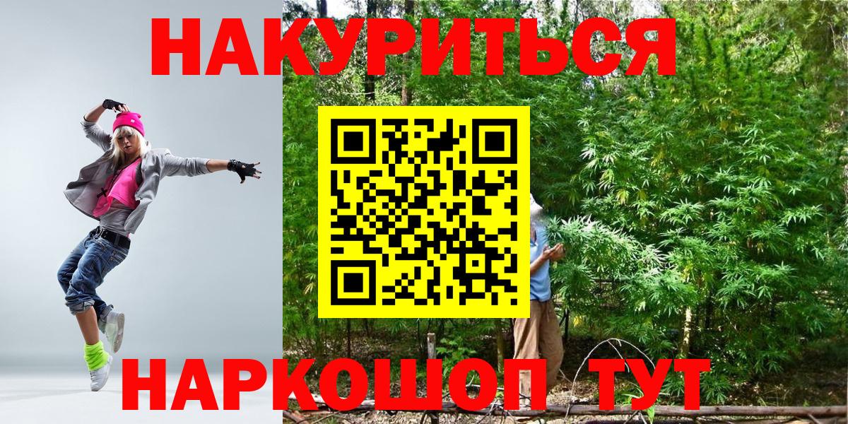 Каннабис индика Тамбов